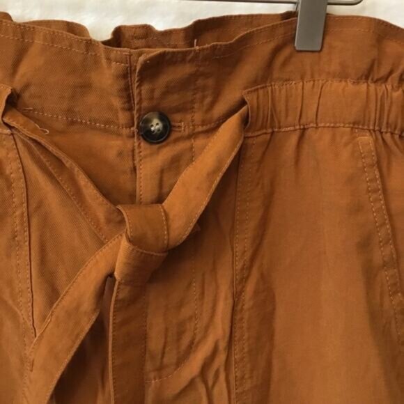 Madewell Gold Dunaway Paperbag Pants - Picture 4 of 14